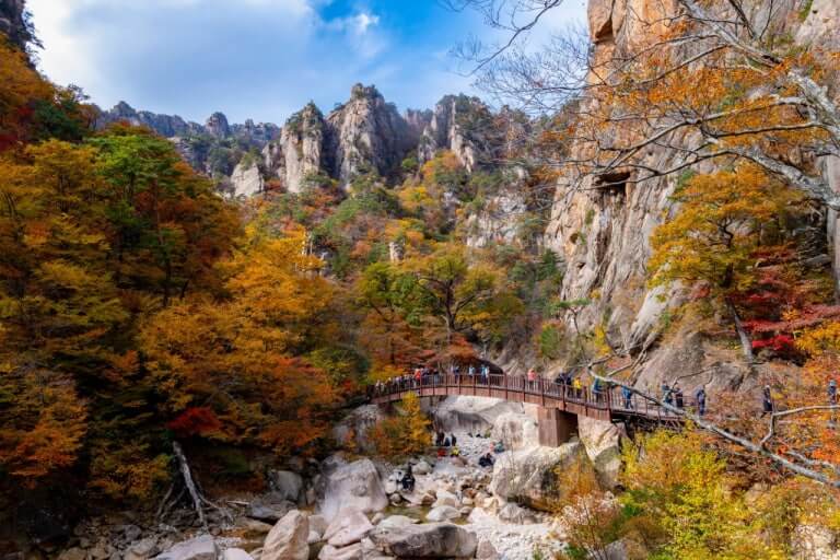 2025 설악산 흘림골 주전골 단풍 절정시기 및 트레킹코스, 주차, 맛집, 주변명소 사진