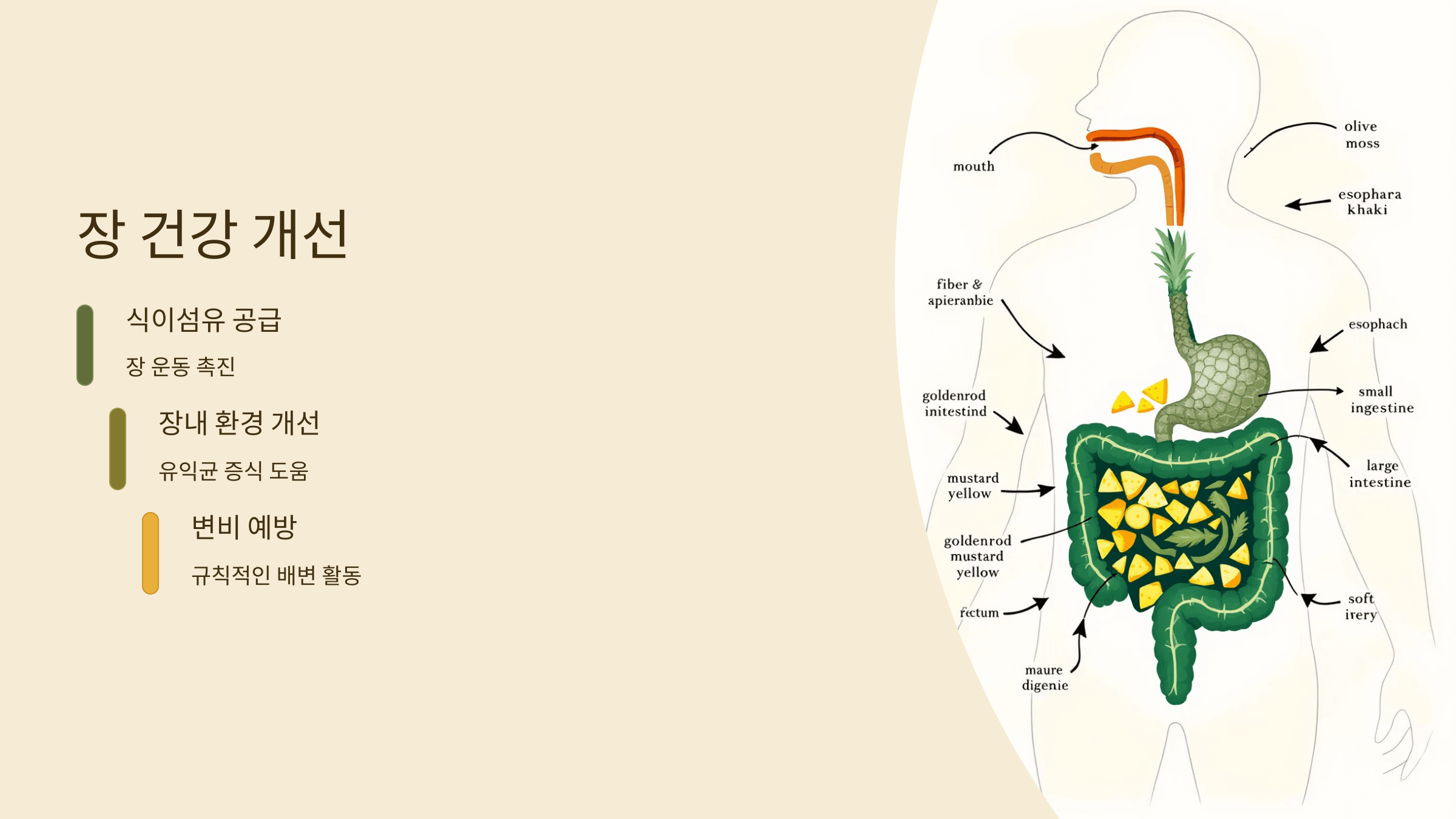 파인애플 사진입니다.