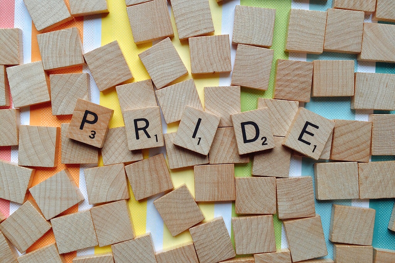 pride 영어 단어 사진