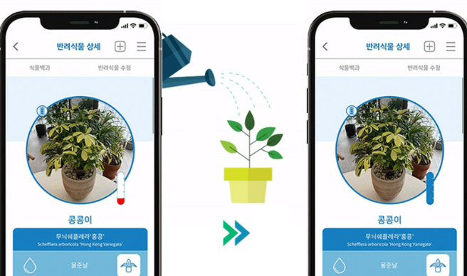실내 식물 키우기에 도움이 되는 무료 어플 추천 7가지