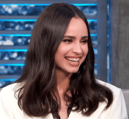 소피아 카슨 캐리온 BTS 지민 퍼플하트 비트를 느껴봐 남편