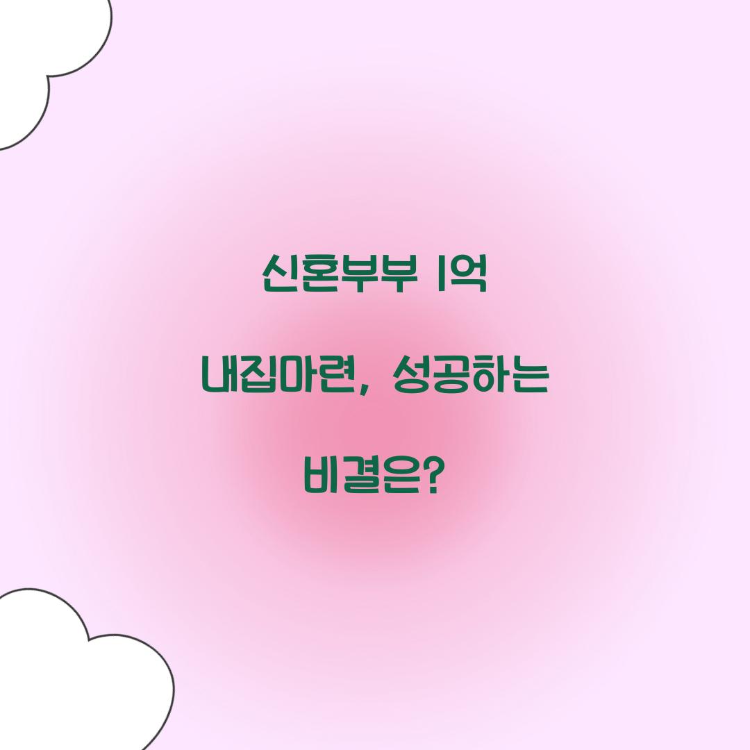 신혼부부 1억 내집마련
