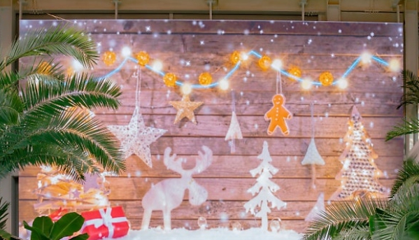 연말/겨울/나들이/경기도/핫플/베이커리/카페