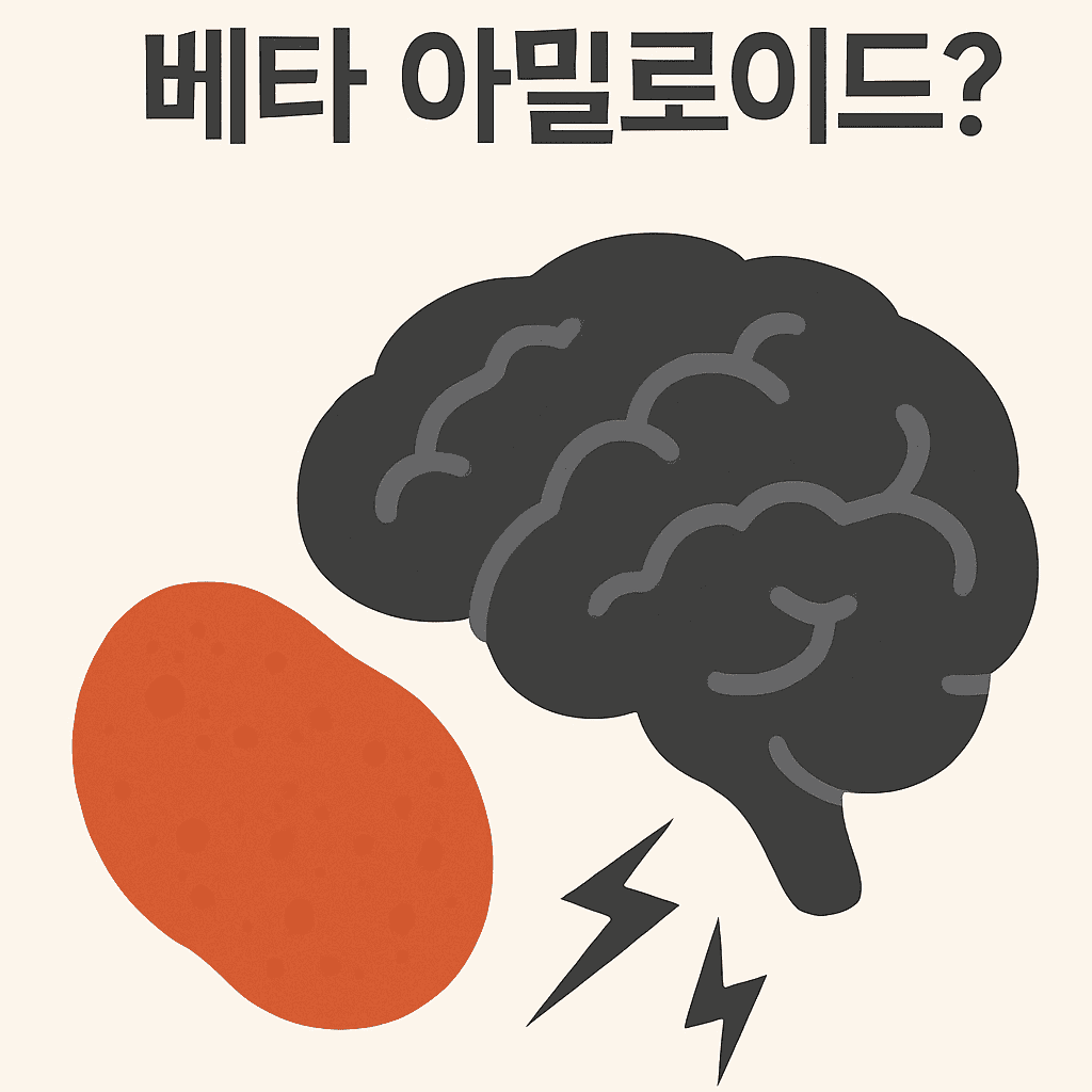 치매의 시작점, ‘베타 아밀로이드’란 무엇인가? 뇌 속 단백질의 진실