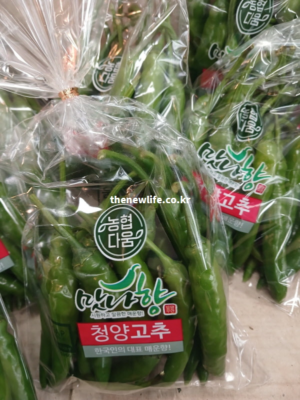 멸치와 함께 볶으면 칼슘 흡수를 돕는 상호 보완 작용으로 영양적으로 완벽한 궁합을 자랑하는 청양고추