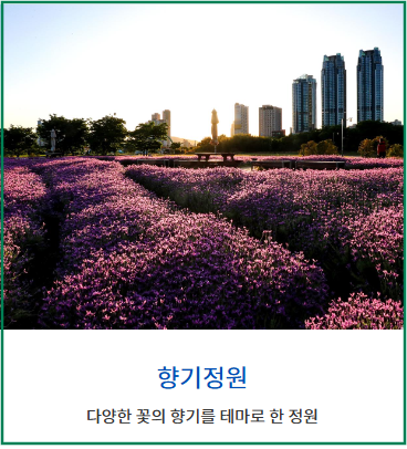 태화강 국가정원 봄꽃축제-향기정원