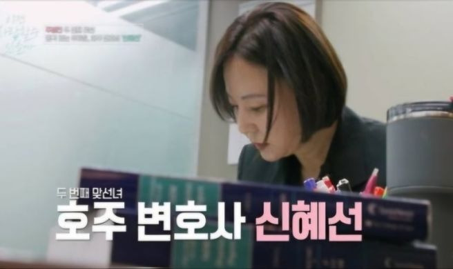 신혜선 변호사의 커리어