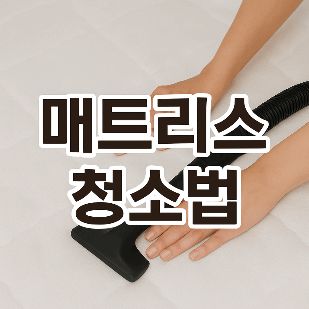 매트리스 청소
