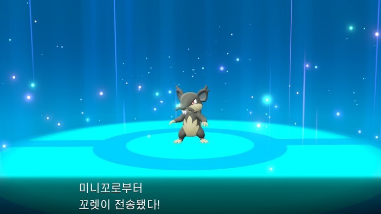 레츠고 피카츄/이브이