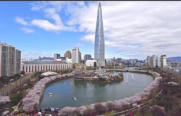 벚꽃 축제