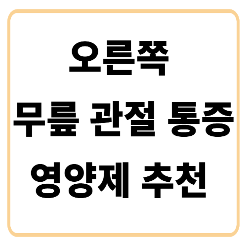 오른쪽 무릎 관절 통증 영양제 추천