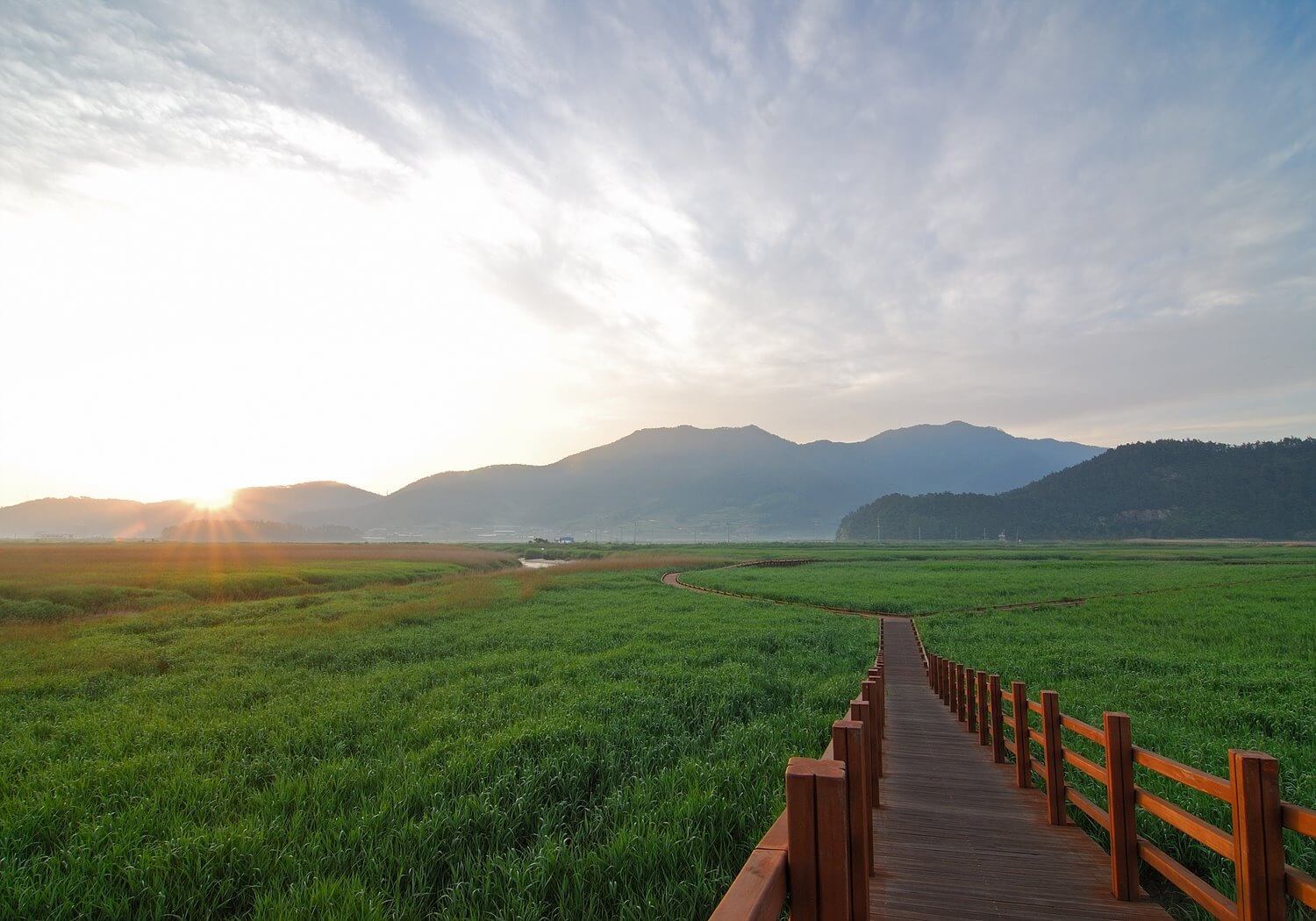 순천만 습지 용산전망대