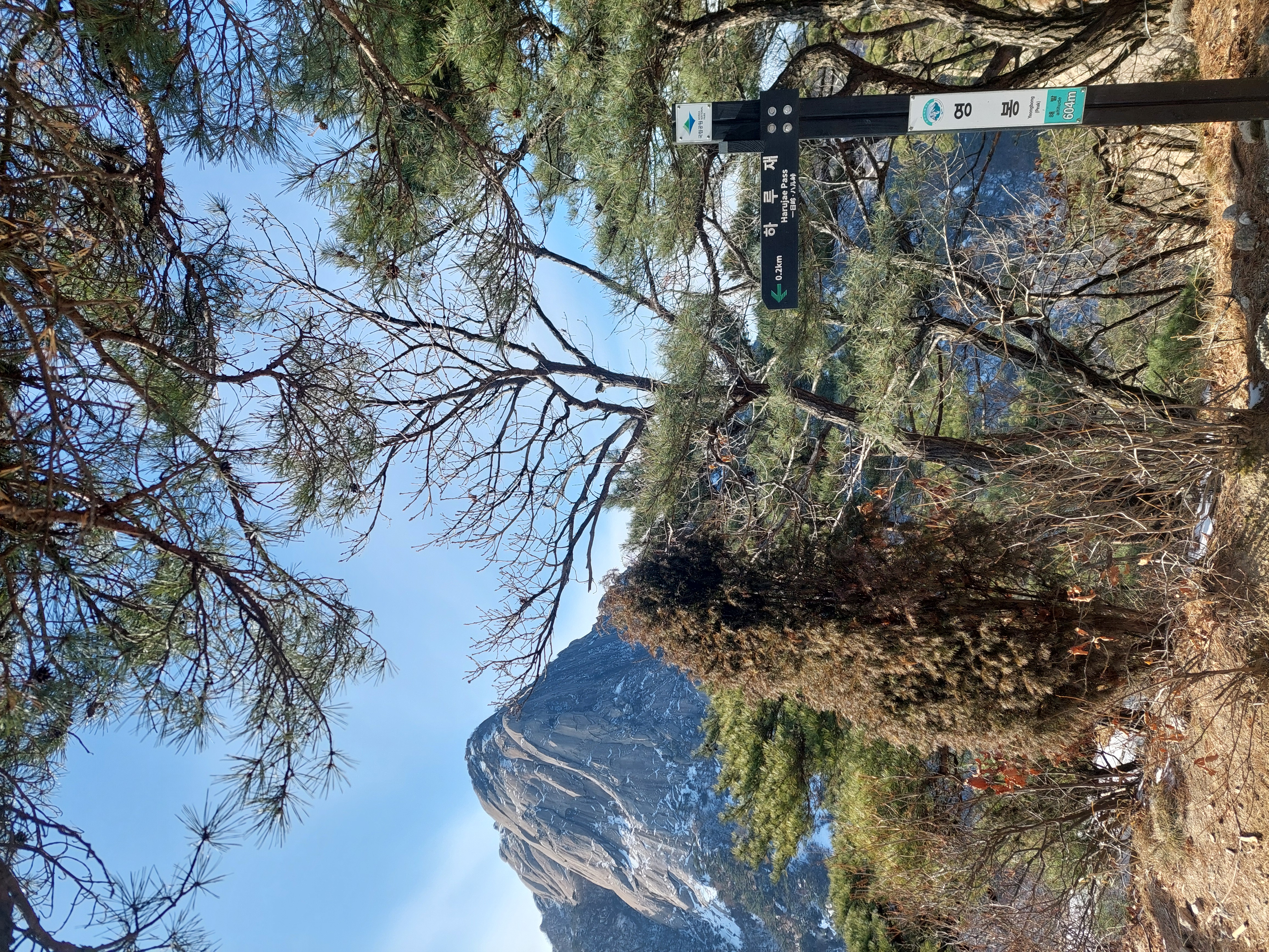 영봉