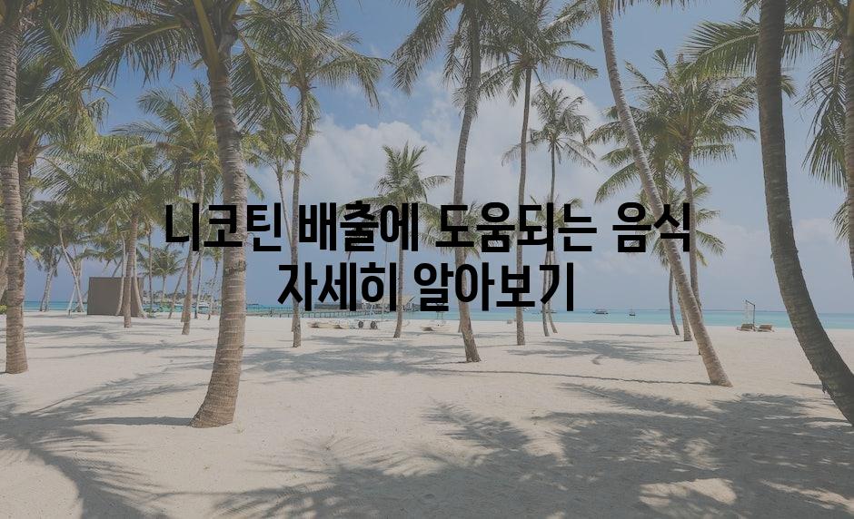 샘플 (73)