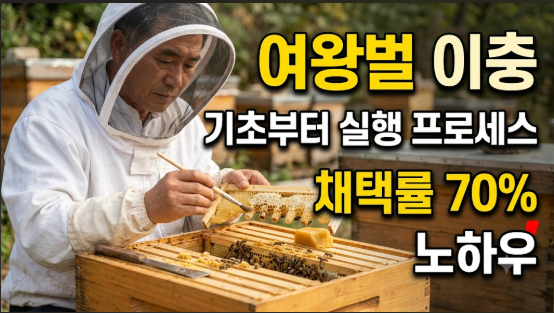 여왕벌 이충 기초부터 실행 프로세스