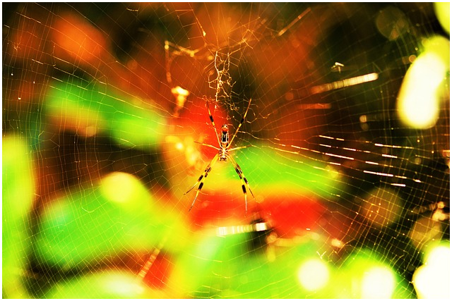 개인정보보호 포털 사용해서 회원가입 자동 탈퇴하기