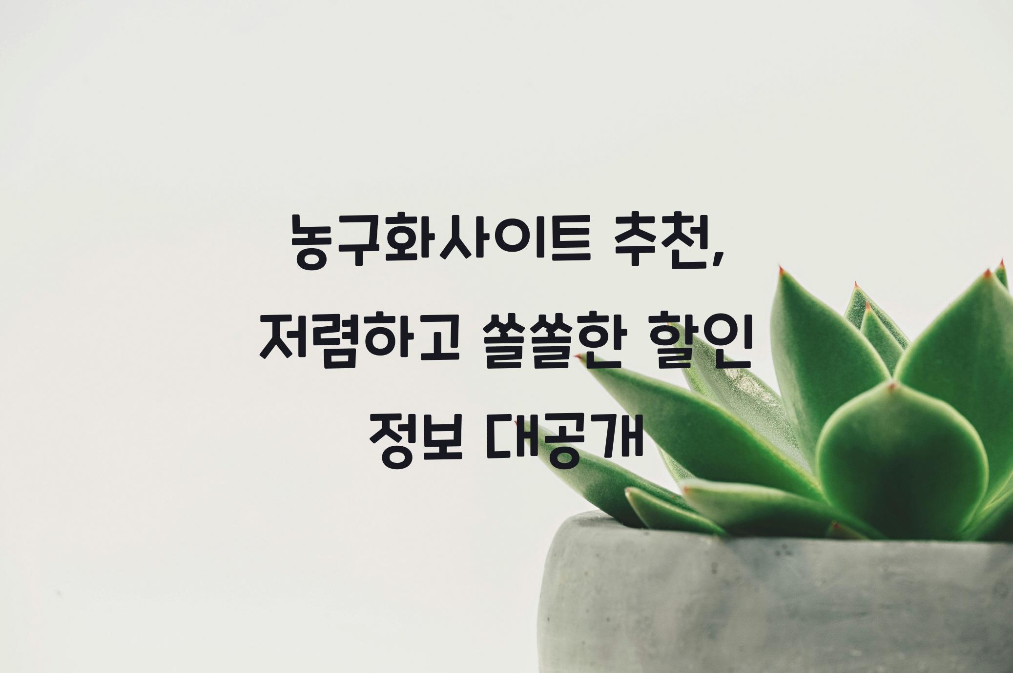 농구화사이트