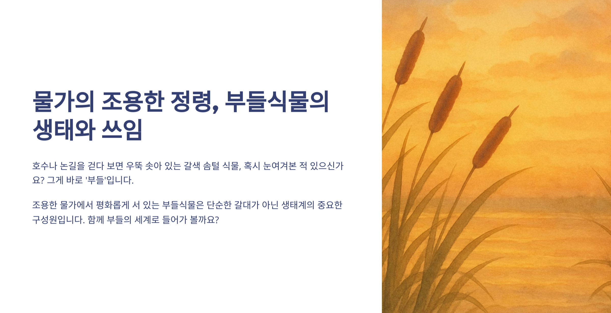 부들식물