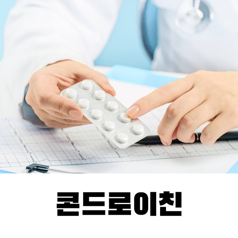 콘드로이친