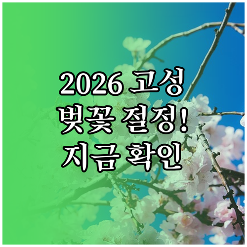 2026 고성군 벚꽃 절정 기간 및 ..