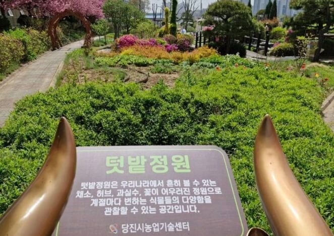 당진 가볼만한곳 베스트 10