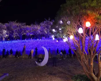 영암왕인문화축제_24