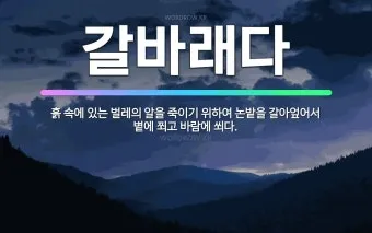 바람 쐬다 쐐다 맞춤법 설명_18