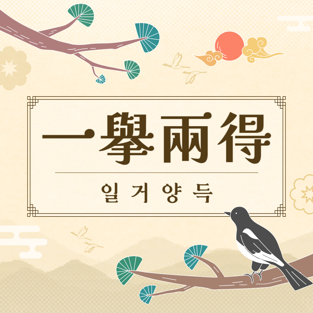 일거양득