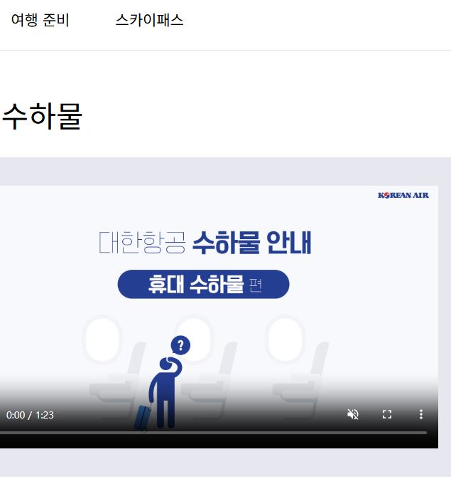 비행기 기내 반입 금지 가능 물품