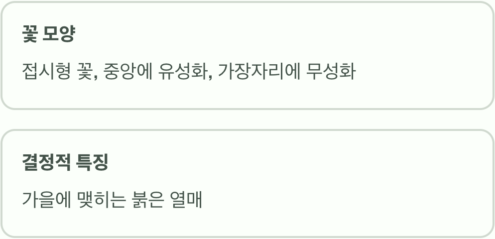 모든 것의 시작, '백당나무' (야생의 어머니)