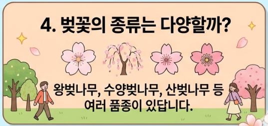벚꽃 상식