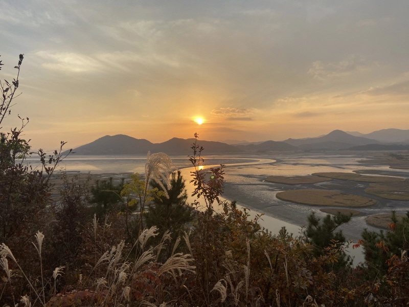 순천만습지 용산전망대