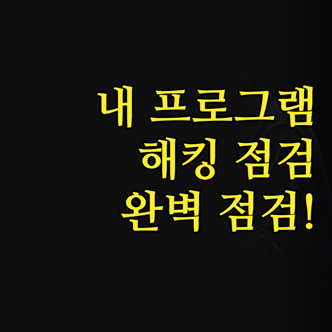 내 프로그램, 혹시 뚫린 건 아닐까?