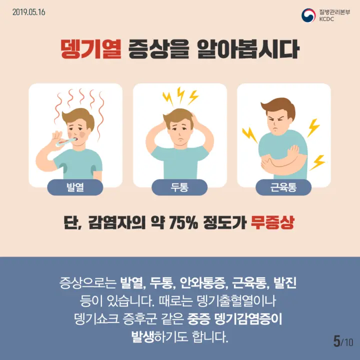 뎅기열증상