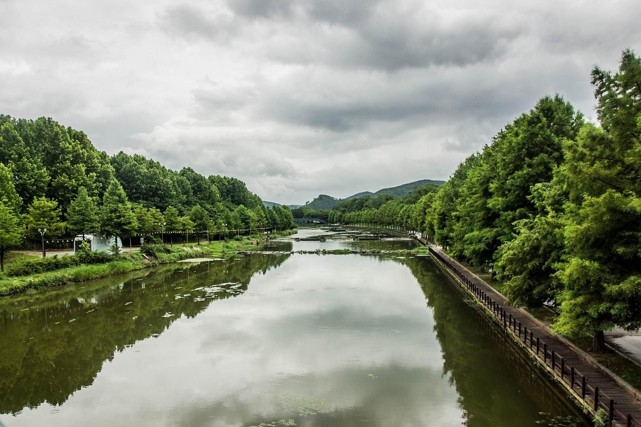 담양여행-관방제림