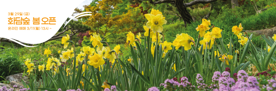 화담숲 예매방법, 꿀팁