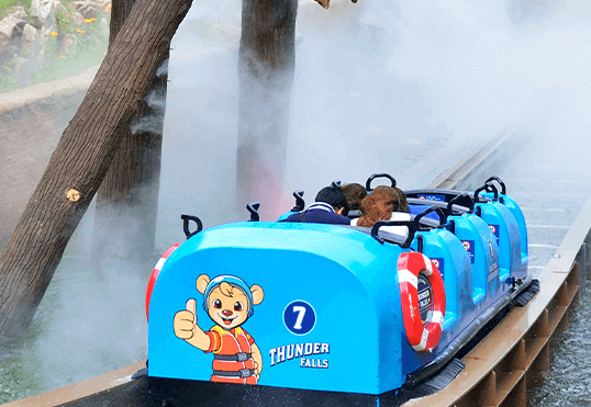 에버랜드-자유이용권-할인