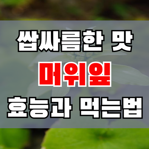 머위잎의 효능