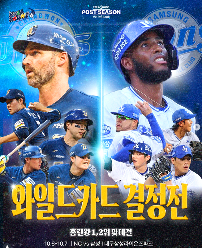 와일드 카드