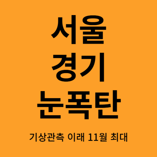 서울경기 눈폭탄