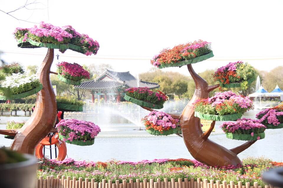 국화향 따라 걷는 가을 여행 : 제22회 백제고도 부여국화축제 일정·위치·프로그램 총정리