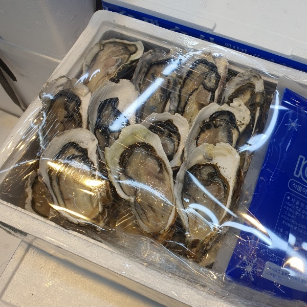 손질된 석화 포장