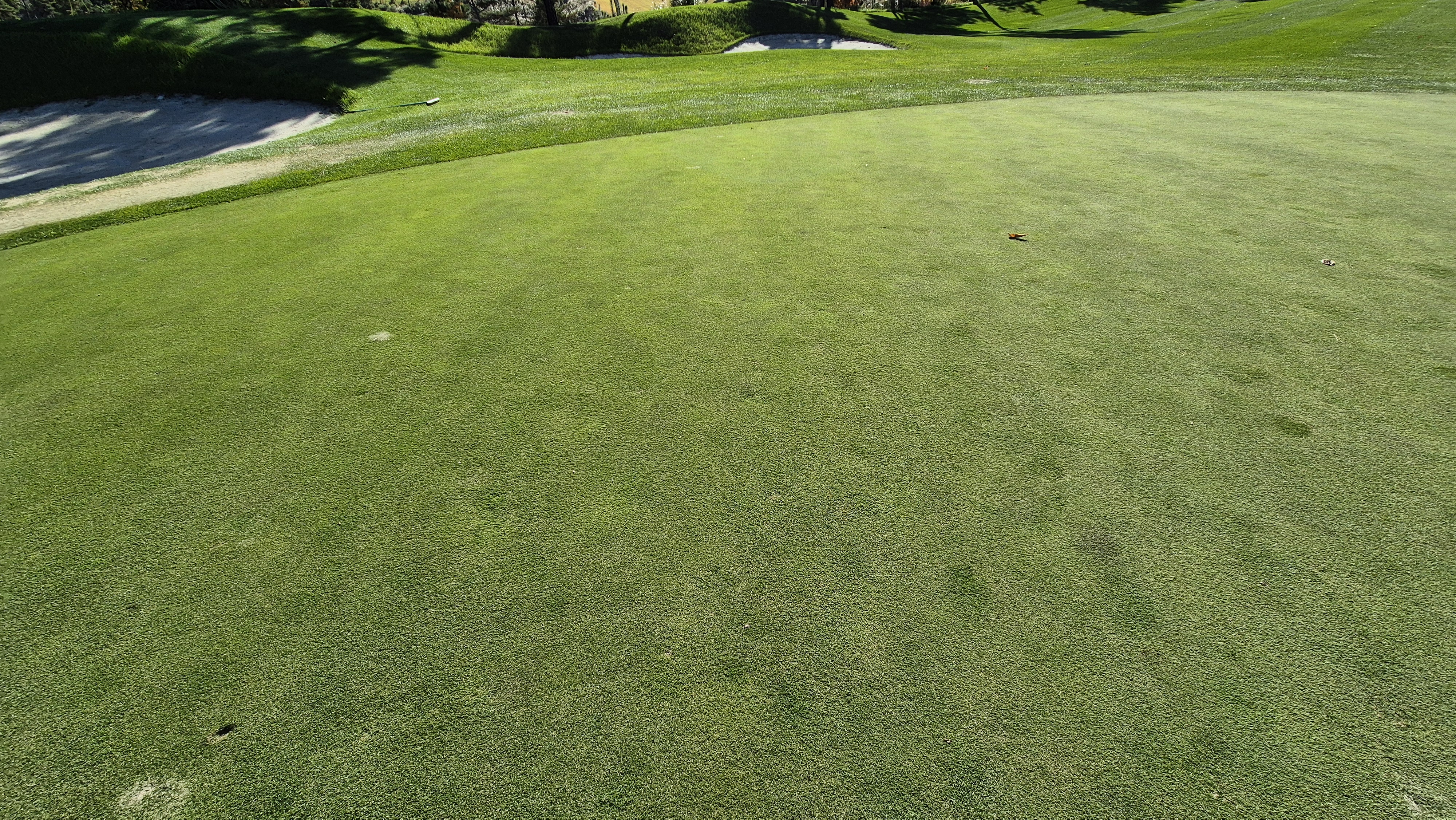 레이캐슬cc 그린관리상태