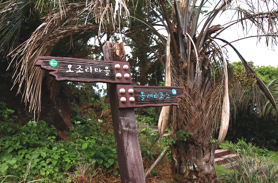 제주 올레길 2코스 중반 지점 오조리마을 안내판 사진.