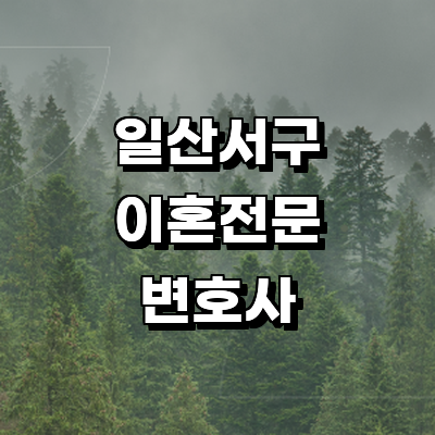 고양 일산서구 이혼 변호사