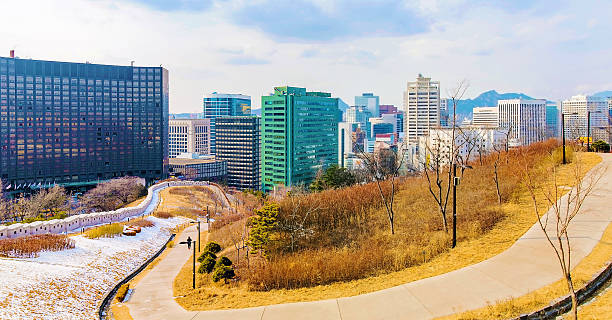후쿠오카 1월 날씨