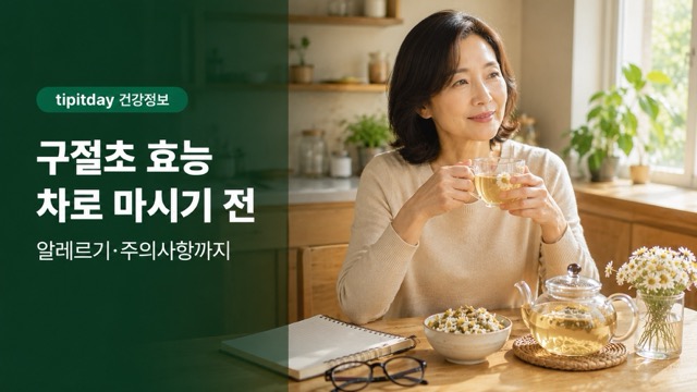 구절초 효능 썸네일