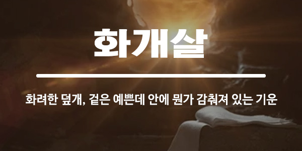 화개살 뜻과 의미