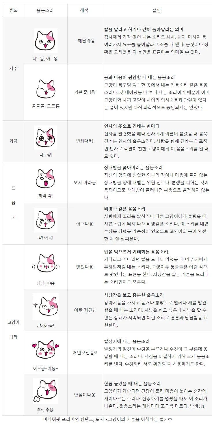 &amp;quot;고양이