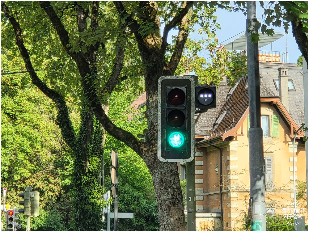 스위스 렌터카 유의사항